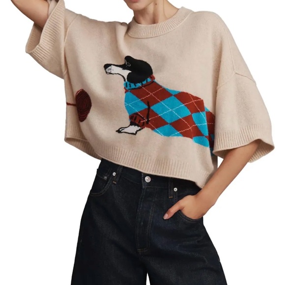 Anthropologie Sweaters - Anthropologie Cashmere the Goldie Crew Neck Sweater XL NWT